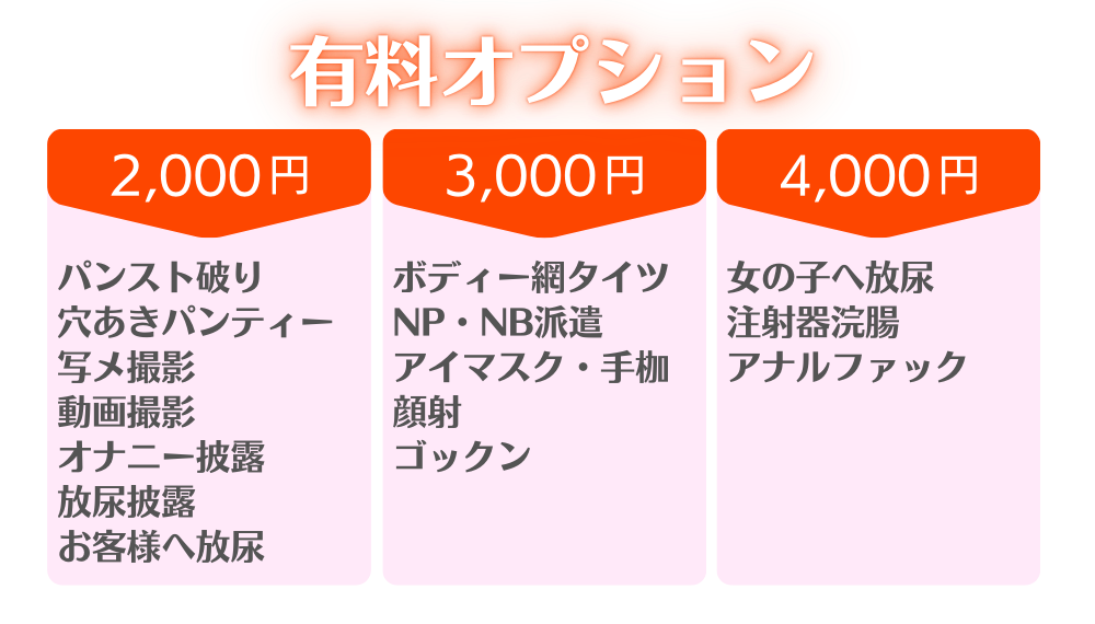 有料オプション